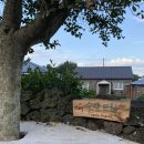 수산뜨락 | 제주 성산 수산뜨락, 에어비앤비로 예약한 독채 숙소! 1박 솔직후기