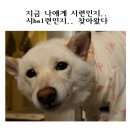 누리담