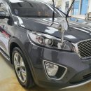 키다리광택 이미지