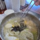 내촌애견 이미지