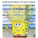 SR 친오애 주상복합 아파트 이미지