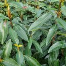 학송농장 이미지