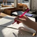 11215-자양2-167 | enjo2~