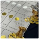 큰별학원 | 대구동구요리학원 다니고 조리학과 합격한 후기