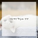 디지털 드로잉 이미지