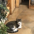 자연과한의원 수원 이미지