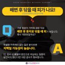 굿모닝미항외과