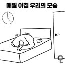 김태민발효쌀빵 이미지