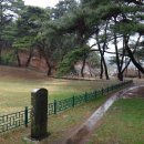 탈해왕릉 이미지