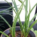 심순례공인중개사사무소 이미지