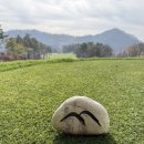 바우밸리 | 세이지우드 홍천 가을라운딩 후기