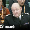 stadium of dogs 이미지