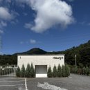 선 목장 | 경기도 근교여행 가평 양떼목장 알파카 염소 먹이체험 공휴일방문 내돈내산 후기