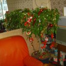 호남이발관 이미지