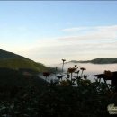 산장의아침