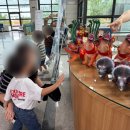 치악예술관 | 리얼공룡쇼 포켓다이노 원주 공연 어린이 뮤지컬 내돈내산 솔직후기