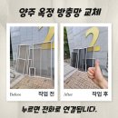 씨유 양주율정점 | 양주 옥정 방충망 율정마을13단지 미세촘촘망 교체로 분위기가달라져요