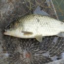 고담낚시터 이미지