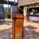 동산 | 제주 허브동산 후기 | 족욕+야경 꿀팁까지 (표선 관광지, 입장료 정보)