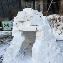 백당금 Daum카페