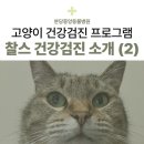 분당중앙동물병원 네이버블로그