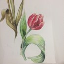 수채화 그리기 이미지