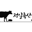 정일축산 이미지