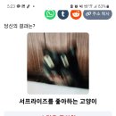 부천로23번길 이미지