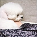 고려영상의학과의원 이미지