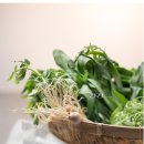 박천수한의원 이미지