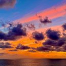 더자라무인텔 이미지