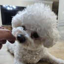 올데이멍 이미지