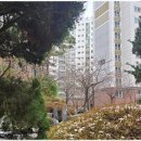 자이부동산중개사무소 네이버블로그