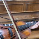 배다리초중통합학교 이미지