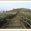 증산-019 이미지