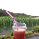 너래안농장 이미지