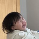 초록여울 캠핑장 이미지