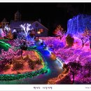 [포천] 제5회 허브아일랜드 불빛 동화축제장의 아름다운 야경 이미지