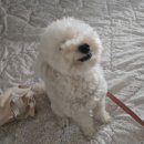 에바 가위컷 전문점 이미지