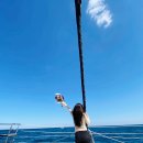 (주)김녕요트투어 이미지