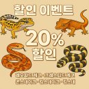 더렙컴퍼니