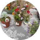 왈강달강 선사시대 책놀이 | 부천 고강동 가을행사 - 고인돌선사유적지에서 즐긴 가을 축제 후기