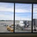 을-200 | 필리핀항공 PR467편(Airbus A321-200, 3-3 배열)을 이용 후기