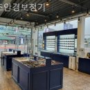 오즈안경 네이버블로그
