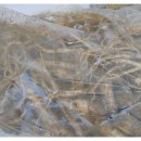 우네농장 이미지