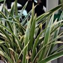 덕풍지구대 이미지