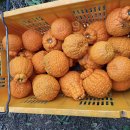 경철농장 이미지