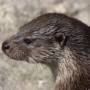 풍림아파트 이미지