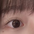 담아놓다 이미지