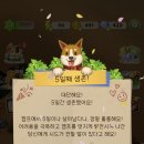 (주)왕왕 네이버블로그